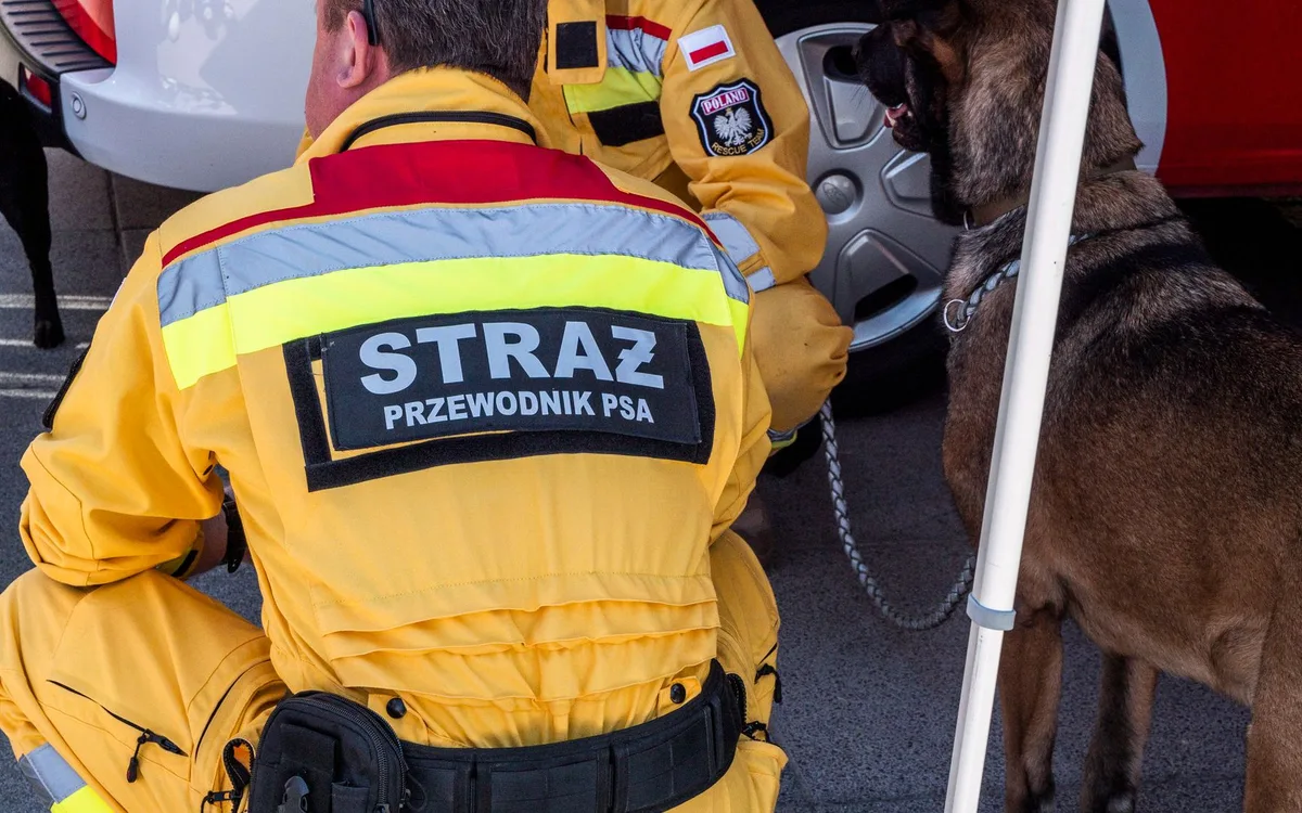 Pierwsza reakcja: zabezpieczenie kuchni i spokojne płoszenie