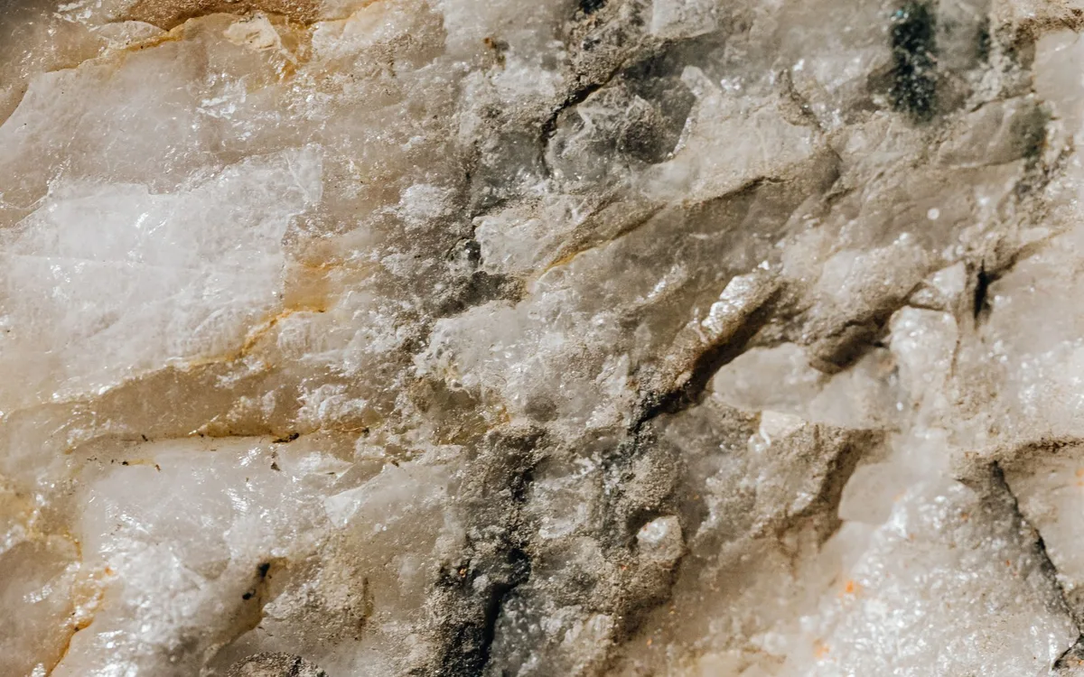 Potrzeby mineralne w rozrodzie, pierzeniu i lotach
