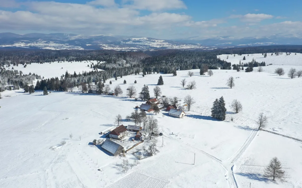 Mleczko z wola i naturalne karmienie