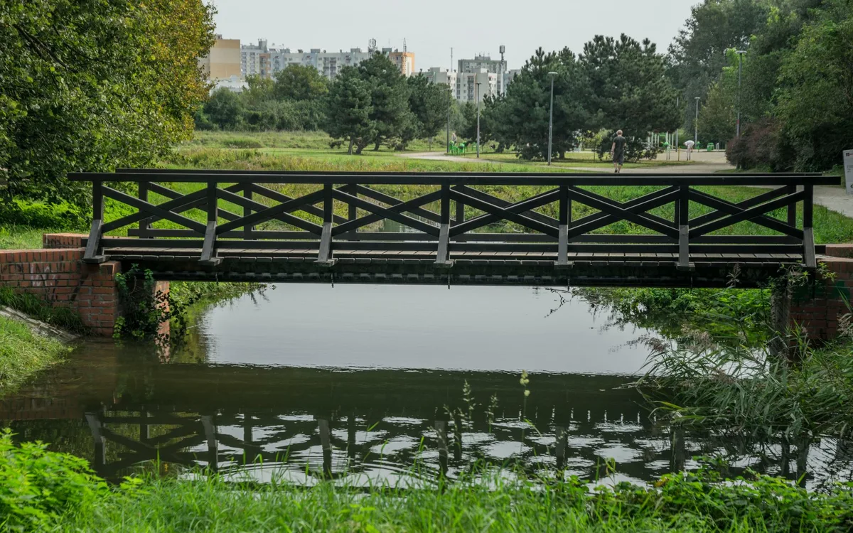 Kondycja ptaka: mostek, mięśnie i zachowanie