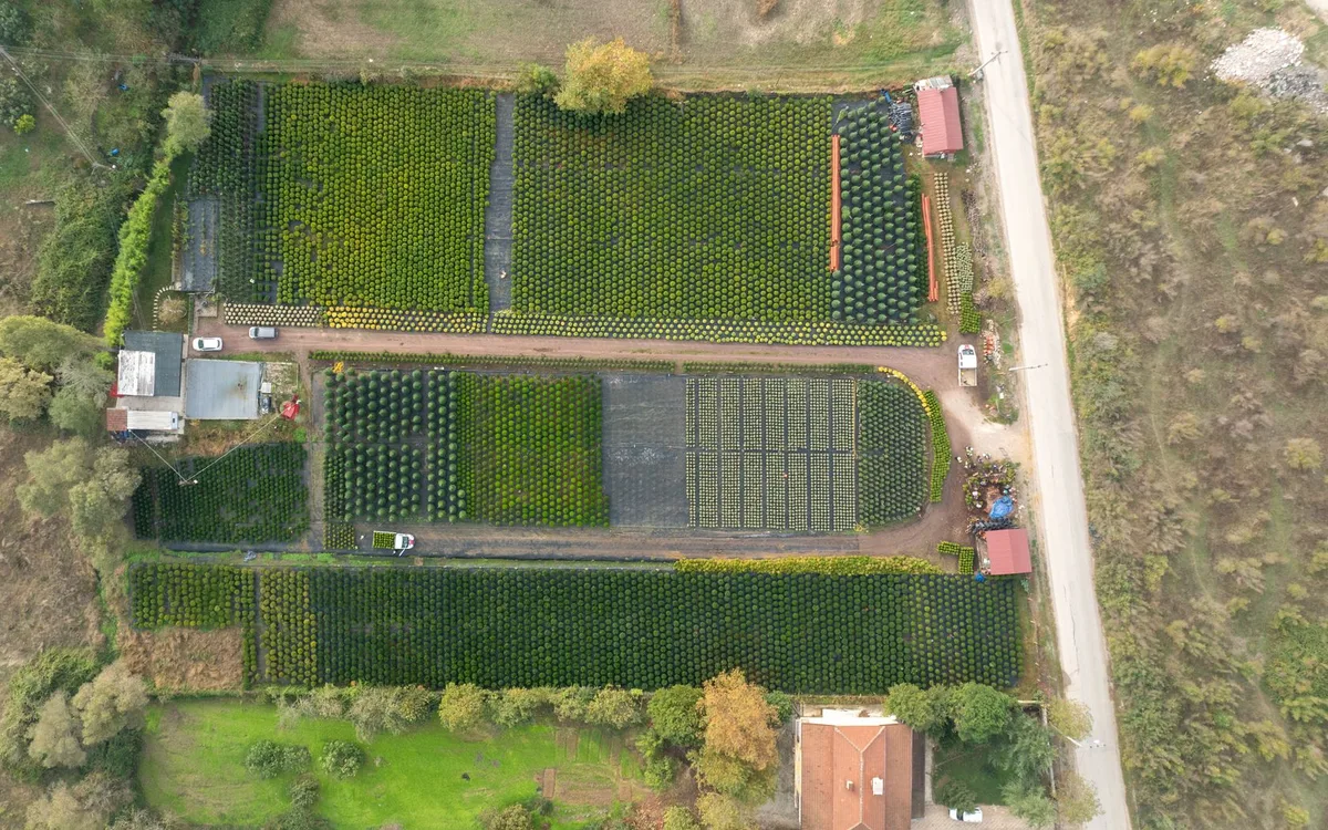 Dopasowanie do stada i działki