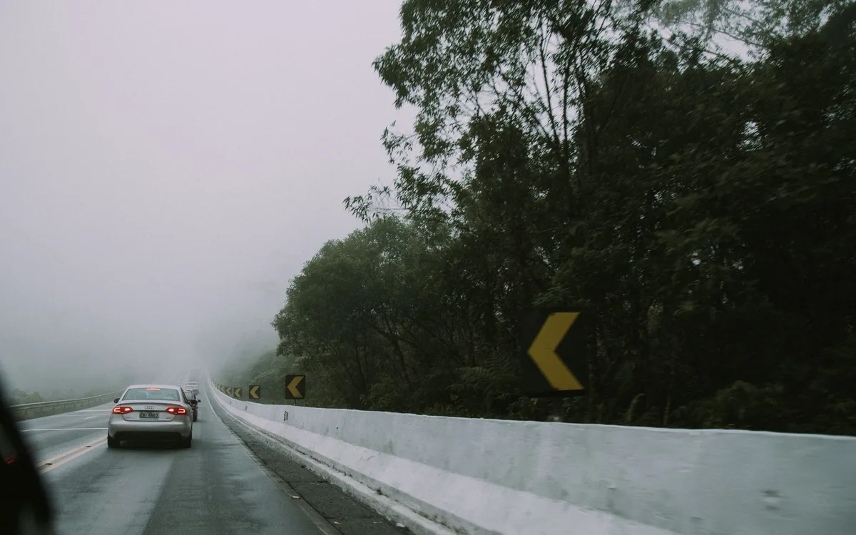 Jak wybrać spokojnego osobnika