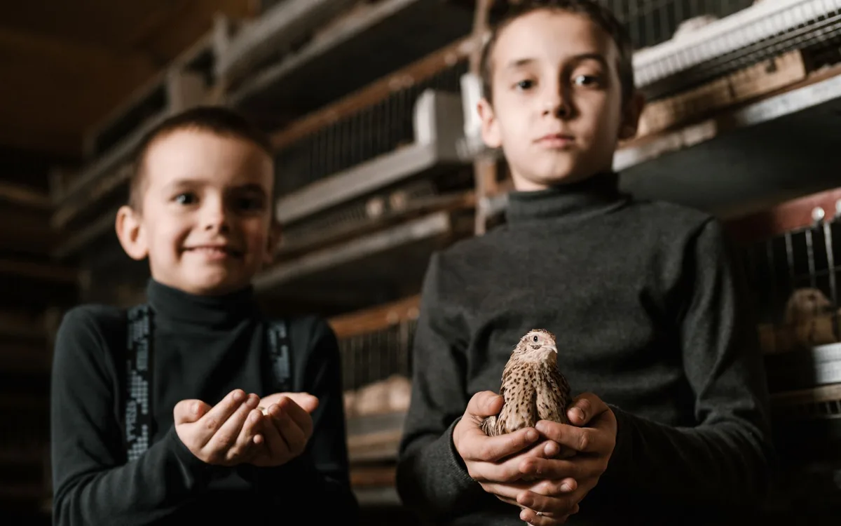 Po co hodowcy wiedza o płci
