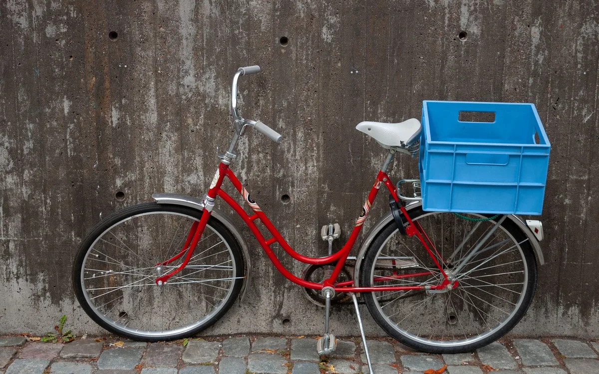 Transport i kosz jako etap przed lotem
