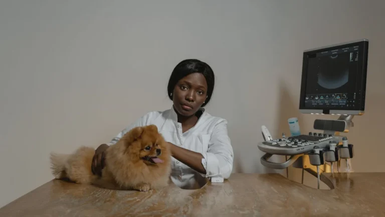 Mycie poideł gołębi - rutyna ograniczająca choroby